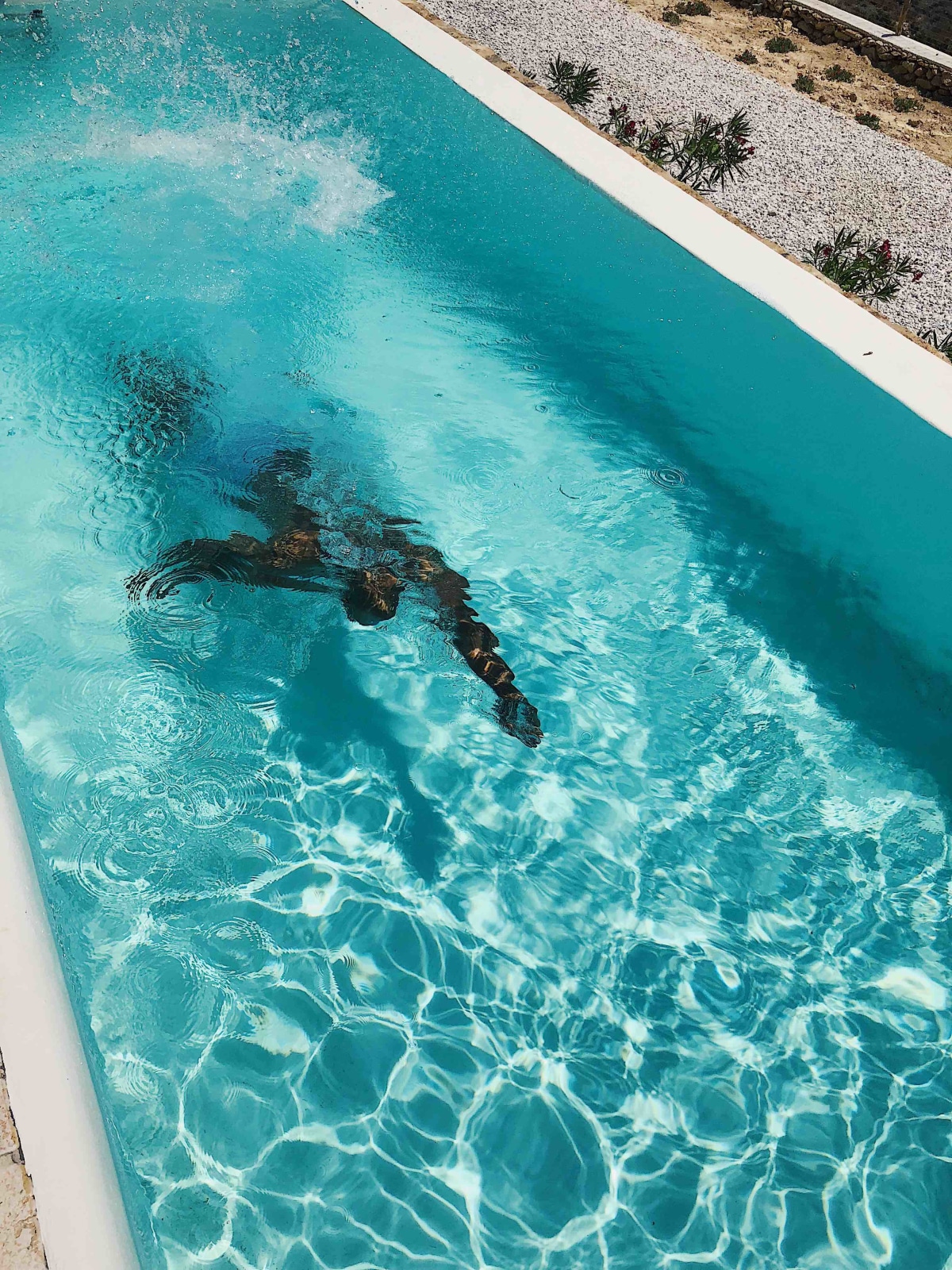 Its all about a sexy pool