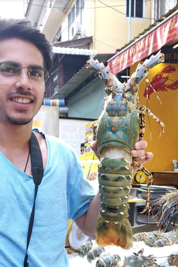 Biggest rainbow prawn