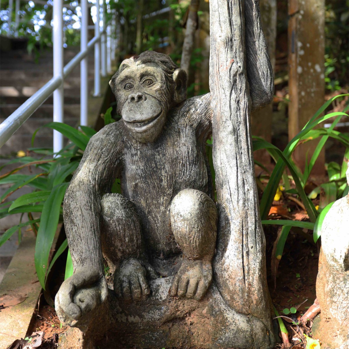 Stone Monkey Hanging Out