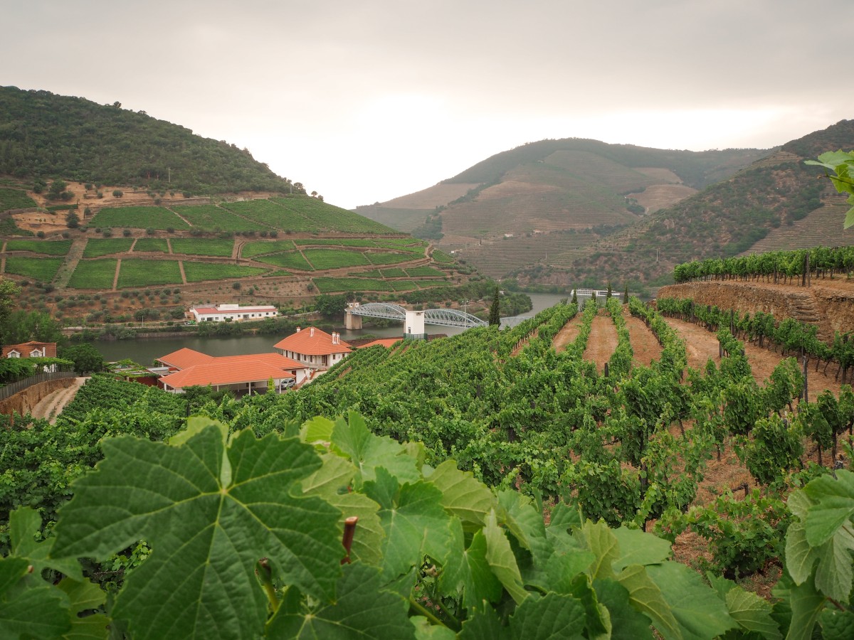Quinta do Bomfim, a wine estate in the Douro Valley.