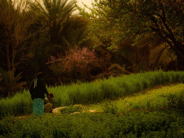 Locals Ouaklim