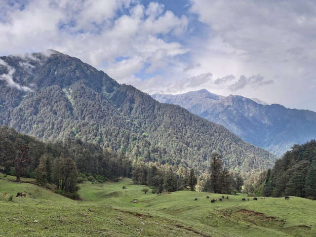 Dayara Bugyal Trek Distance and Complete Travel Guide