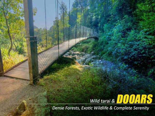 Dooars Package Tour with Jaldapara Elephant Safari – A Journey into the Untamed Wilderness