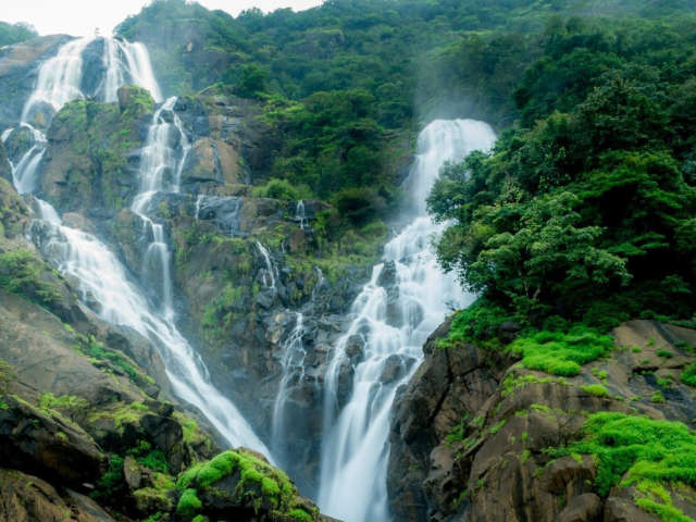 Trail to Tranquility: Discover Dudhsagar Trekking Adventures