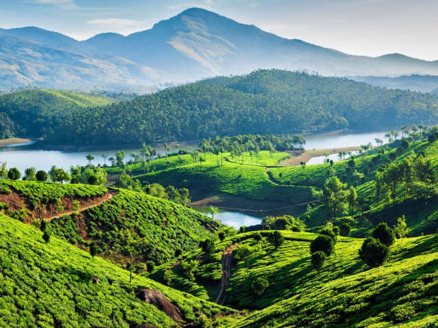 Escape to Munnar: 3 Days of Scenic Beauty and Serenity