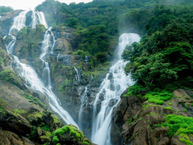 Trekking Bliss: The Ultimate Dudhsagar Waterfall Experience
