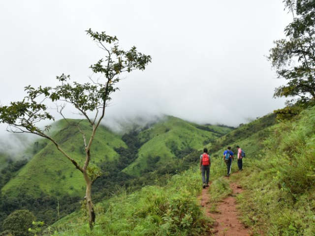 Why Netravati Peak Trek Should Be Your Next Mountain Adventure