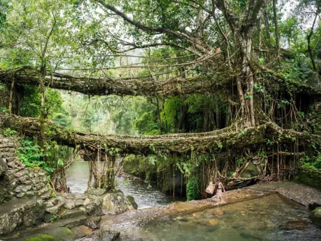 Meghalaya Honeymoon Package – A Perfect Romantic Escape in Nature