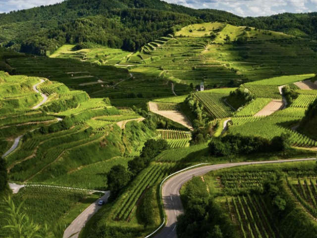 3 Days Coorg Tour Package – Three Quiet Days in the Hills That I Truly Needed