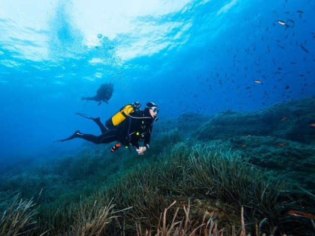 Scuba Diving in Gokarna Hits Different