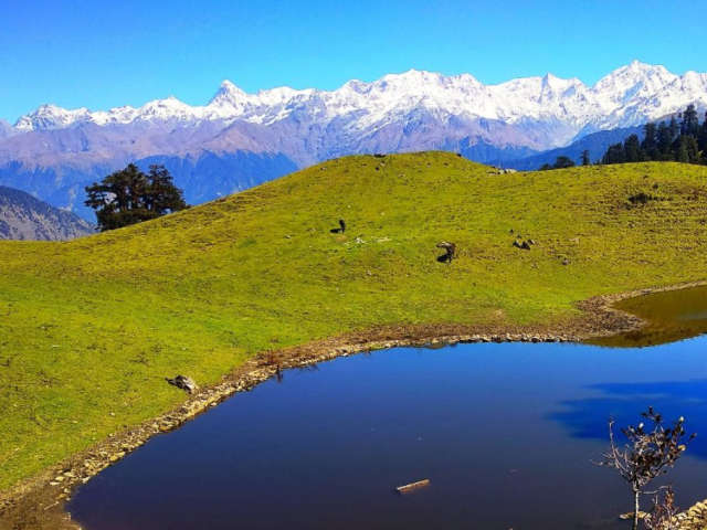 Dayara Bugyal Trek Route, Map & Complete Travel Guide