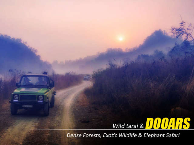 Dooars Tour Package from Kolkata – Discover the Untouched Beauty of the Dooars
