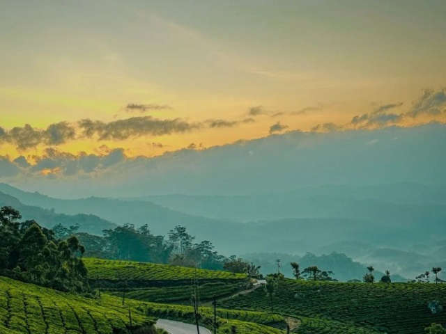 Kerala Tour Packages – Plan Your Perfect Kerala Holiday