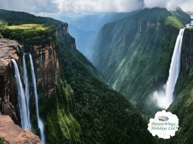 North East Tour Packages – Discover the Beauty of Northeast India