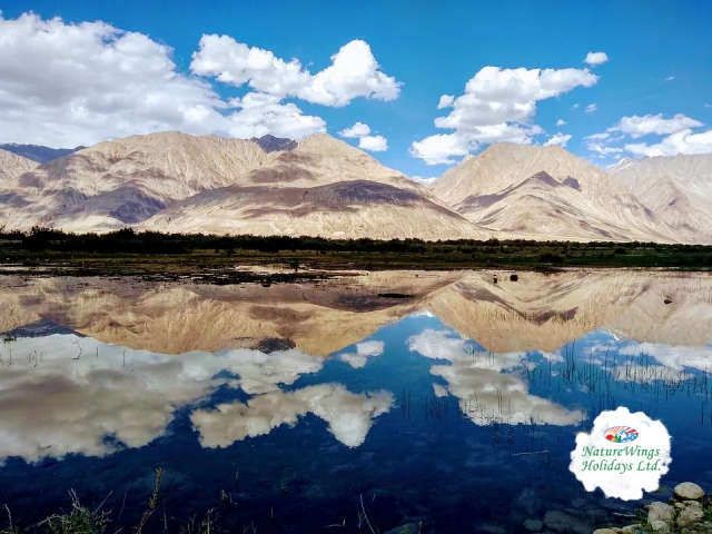 Leh Ladakh Tour Packages – Explore the Land of High Passes
