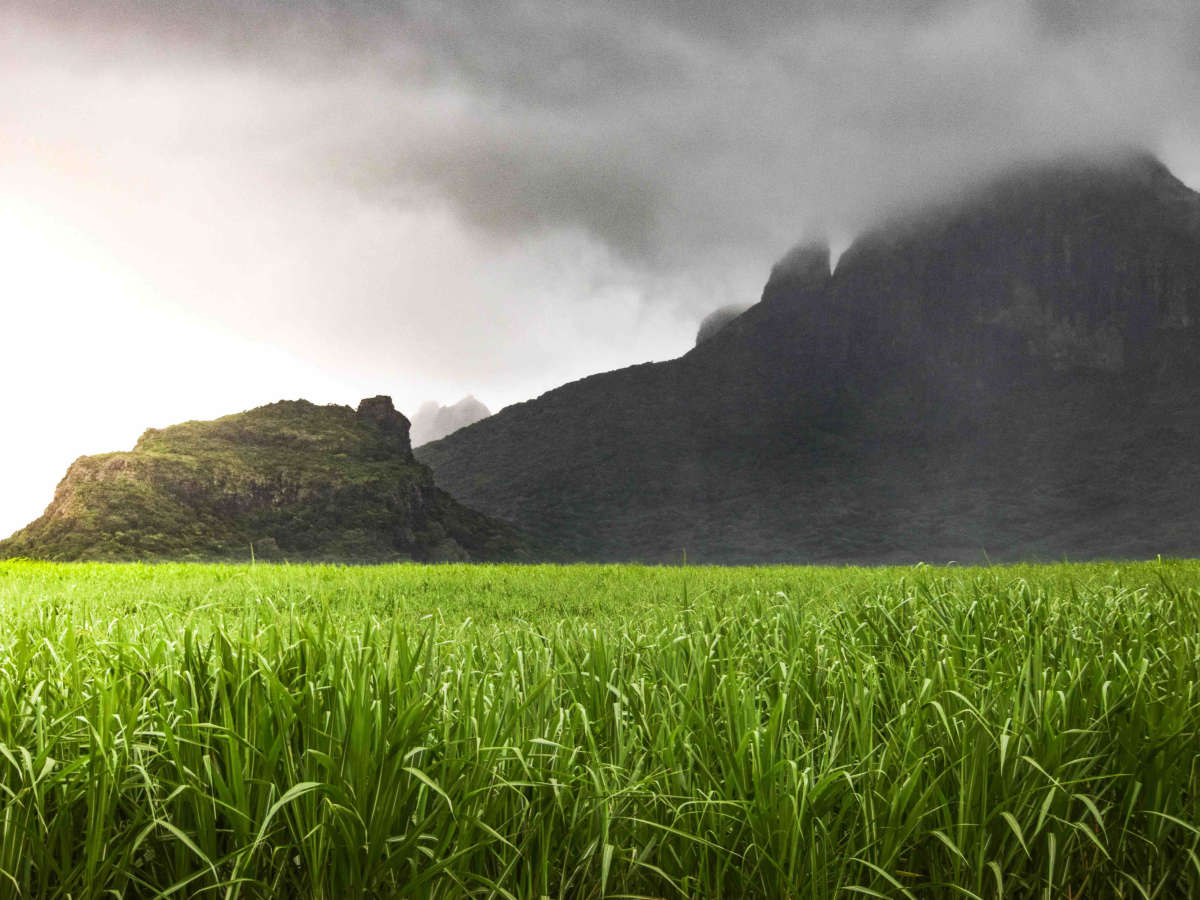This is mauritius