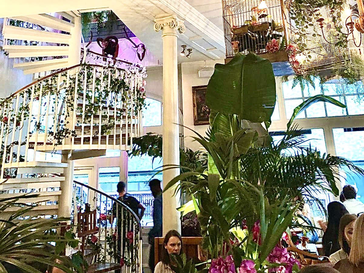 Mr Fogg's House of Botanicals 🍹🌾