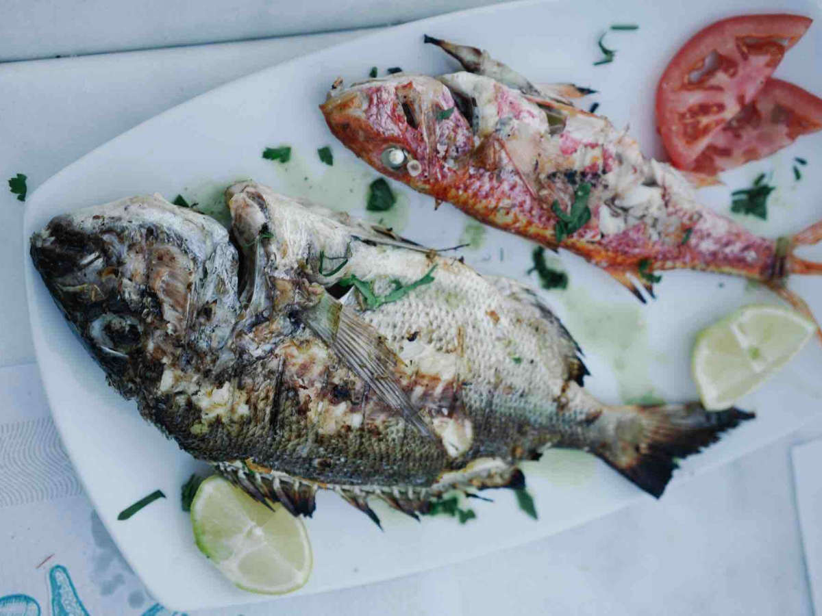 Best Seafood in Koufonisia, Greece