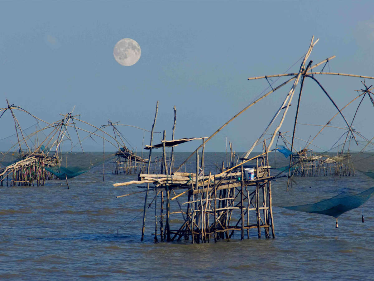 Fishing Nets of Phatthalung Province