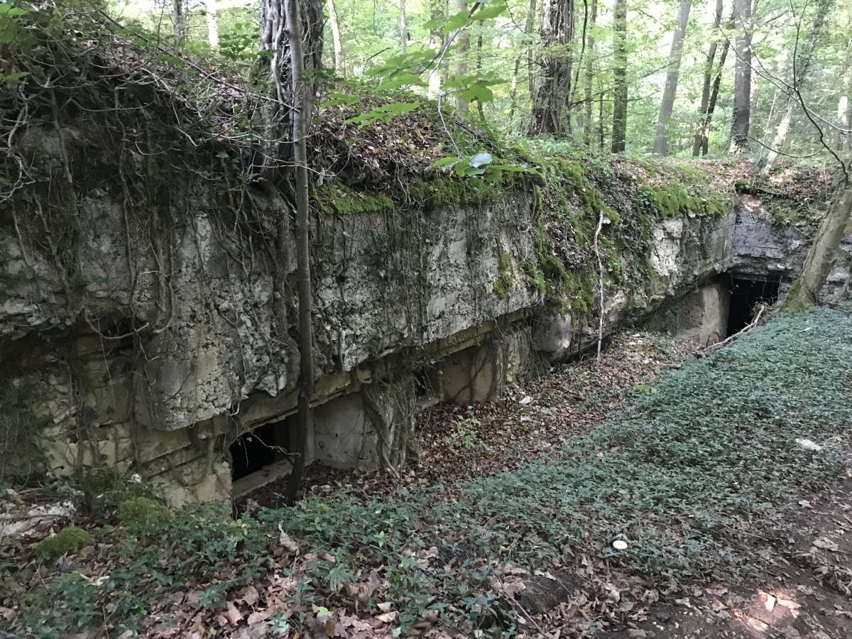 Exploring a Hidden German War Hospital
