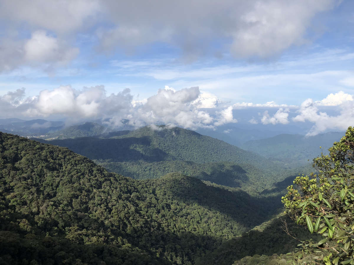Cameron Highland, Malaysia