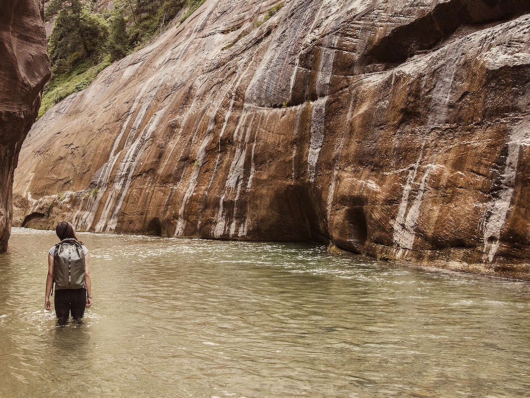 Hike The Narrows in Zion NP
