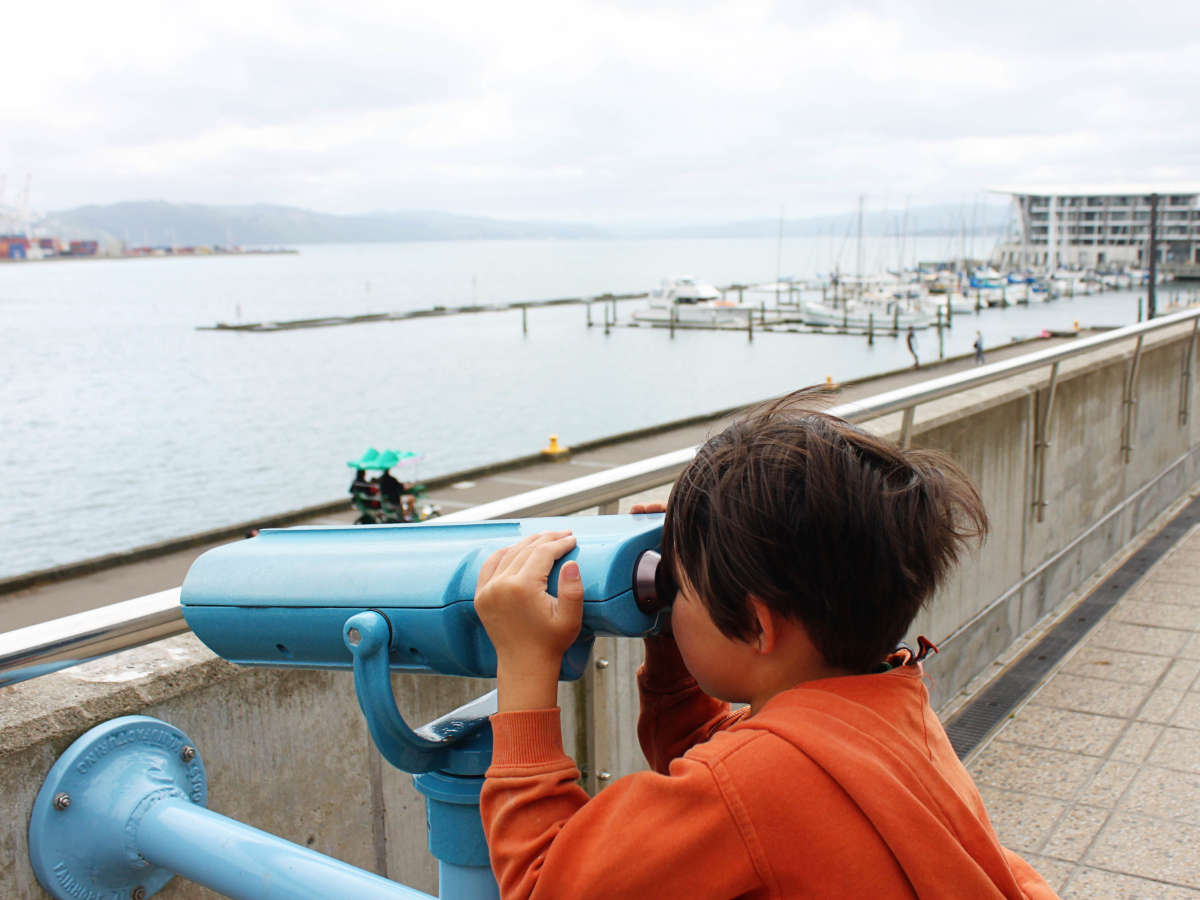 One Day in Wellington New Zealand