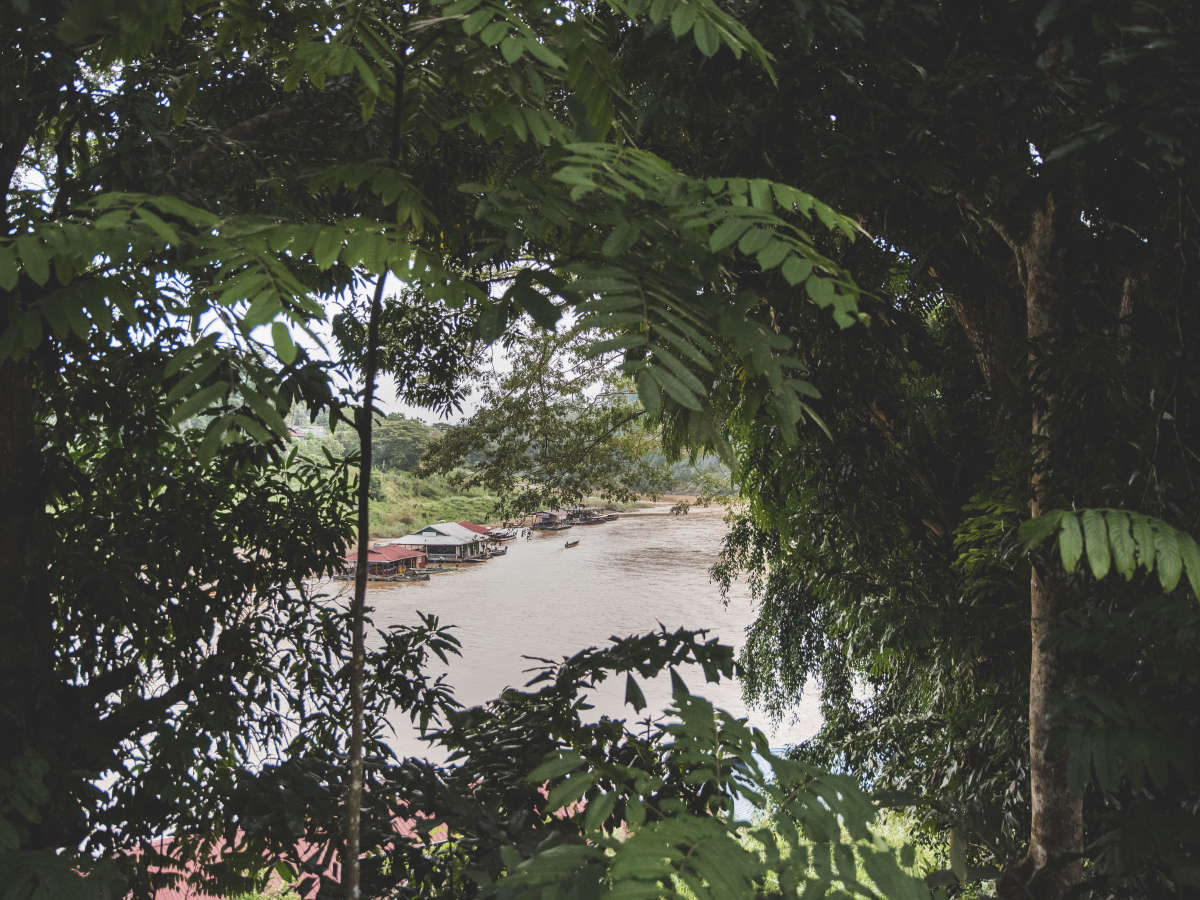 Taman Negara National Park