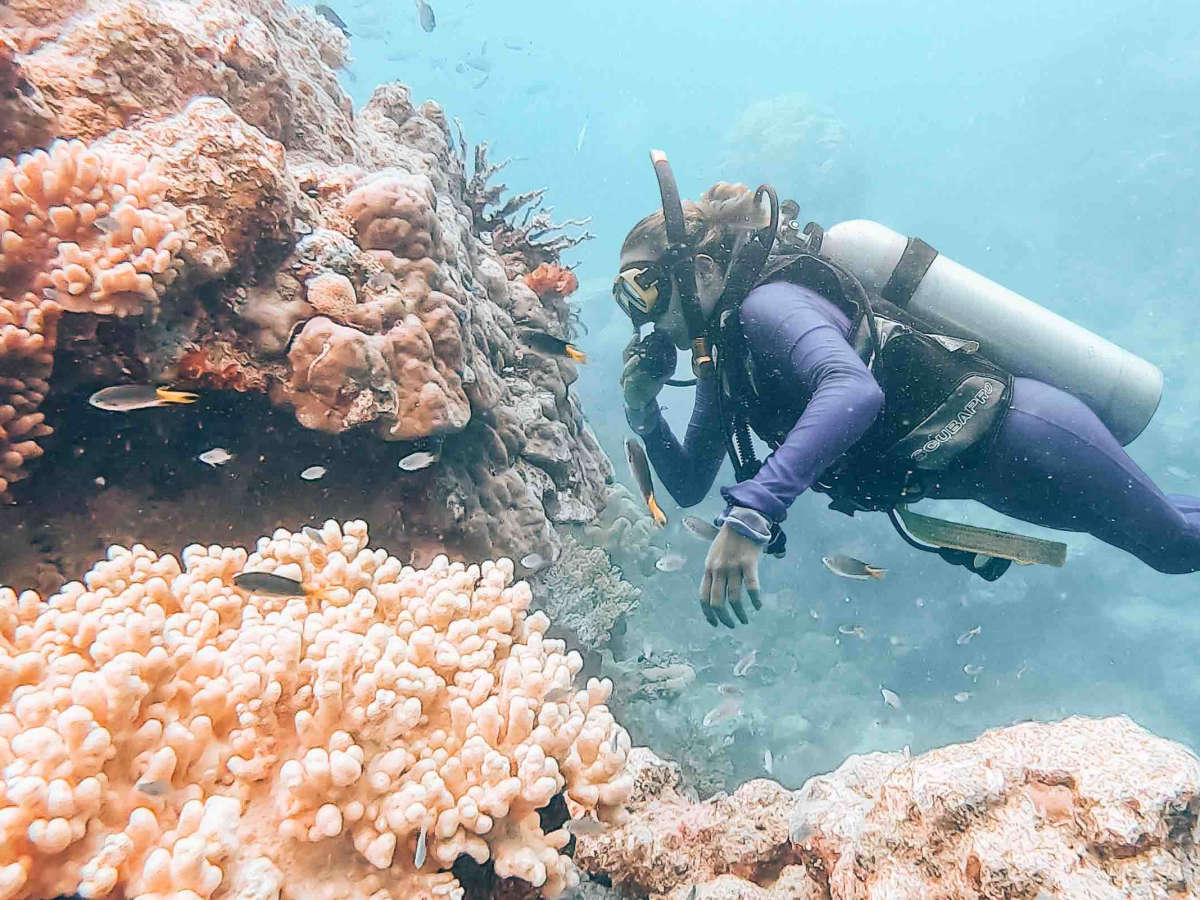 Scuba Diving The Great Barrier Reef