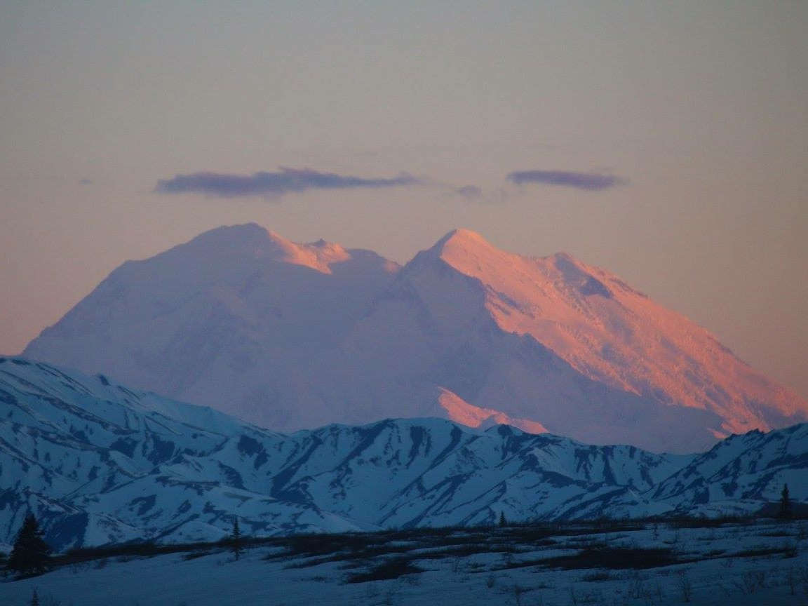 10 Essential Tips for Visiting Denali NP