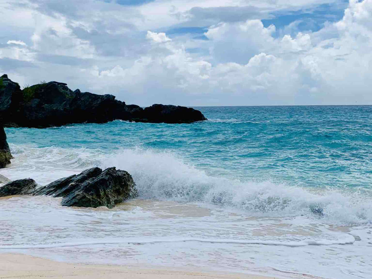 Turquoise Bermuda