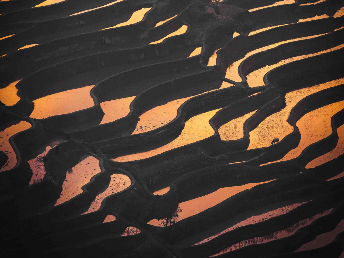 Photographing the Yuanyang Rice Terraces