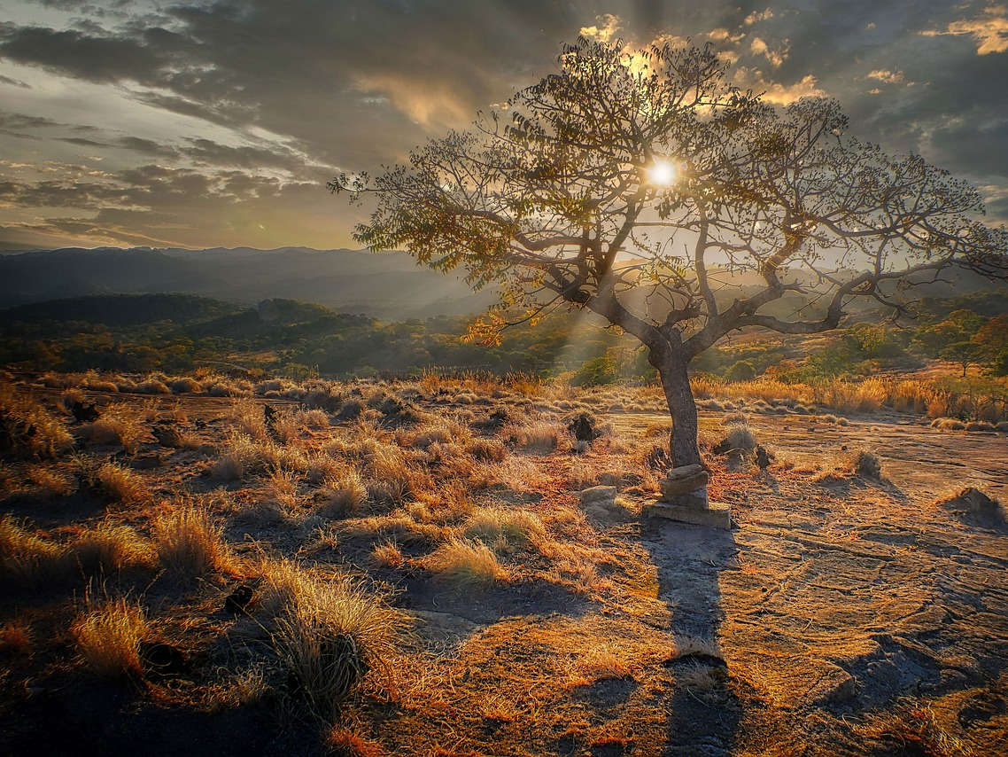 When is the Best Time to Visit Zimbabwe?