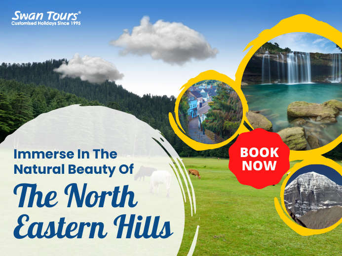 Immerse In The Natural Beauty Of The North Eastern Hills