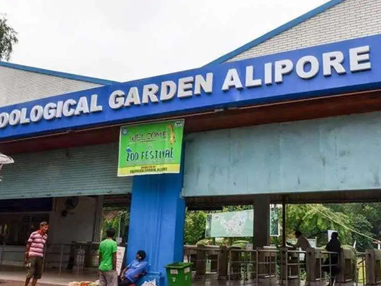 Alipore Zoo Kolkata: An Entrance to Nature and Wildlife Amidst the Buzz of the City