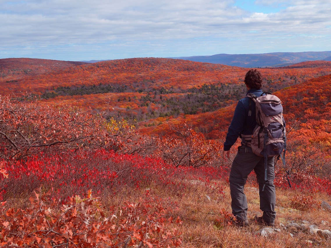 The Life of a Traveler: A Journey Beyond Borders