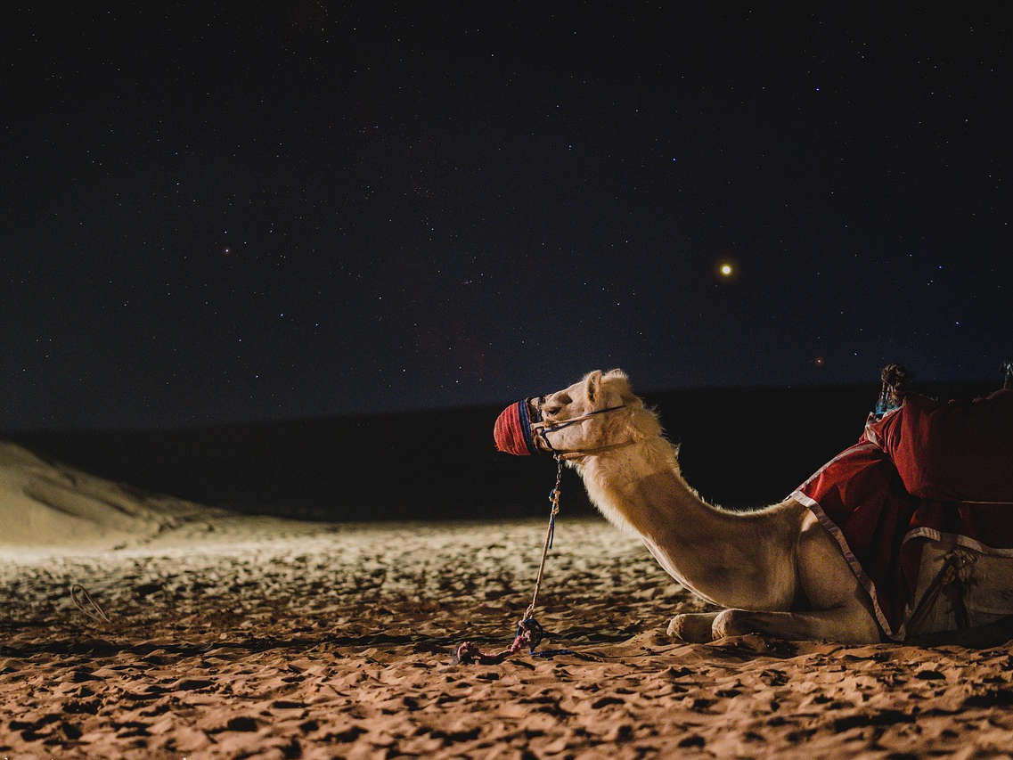 Discover the Magic of Dubai: A Journey of Culture, Luxury, and Adventure