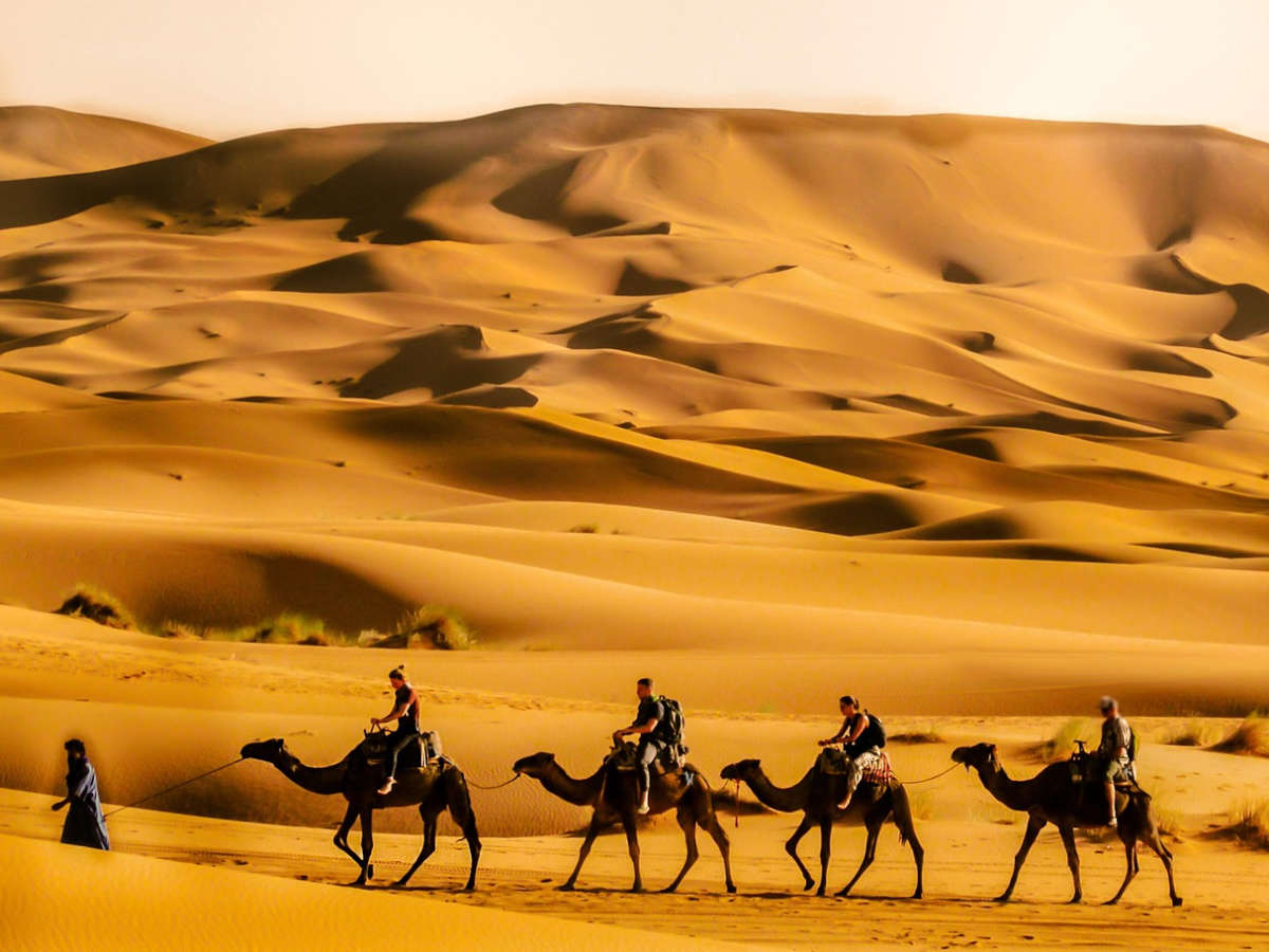 What is the difference between Merzouga Desert and Zagora Desert?