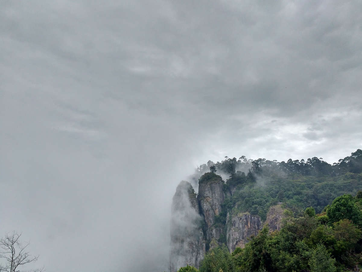 Explore the Hills with the Best Kodaikanal Tour Packages