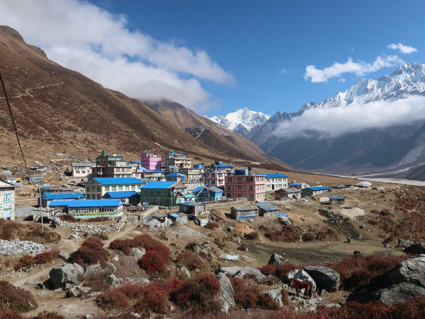 Foods on Langtang Valley Trek: What's on the Menu?