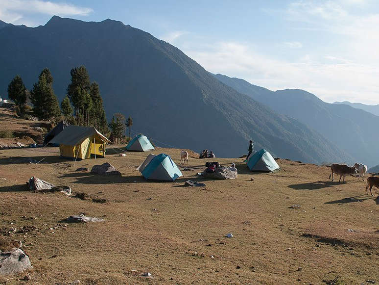 Kuari Pass Trek with Camping: Explore the Curved Ridge of the Himalayas