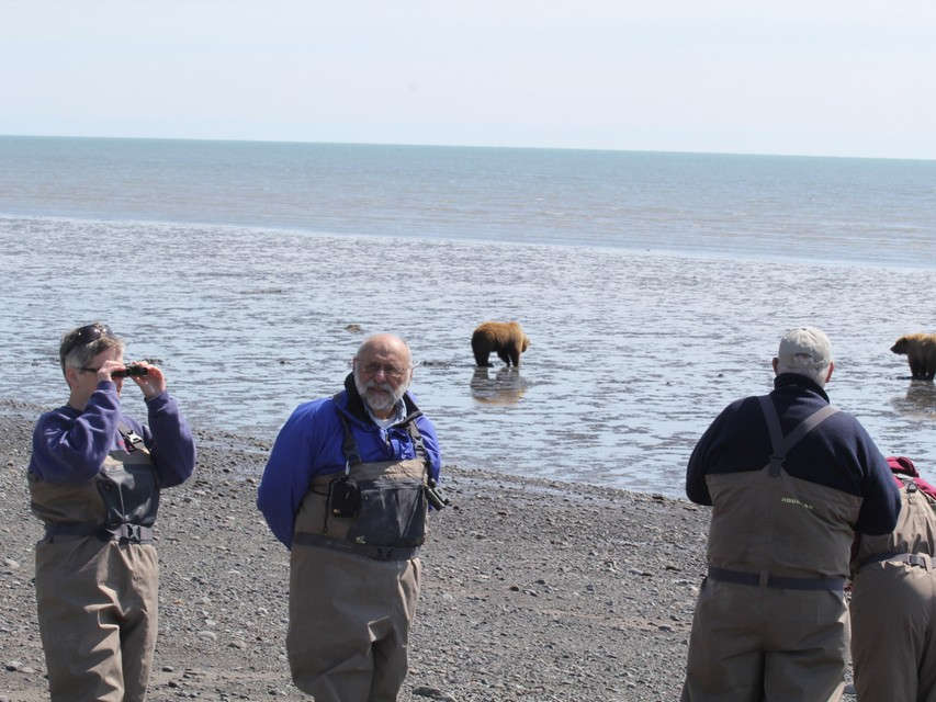 Alaska Bear Watching Trip: Encountering the Wildest Creatures in the North Arctic