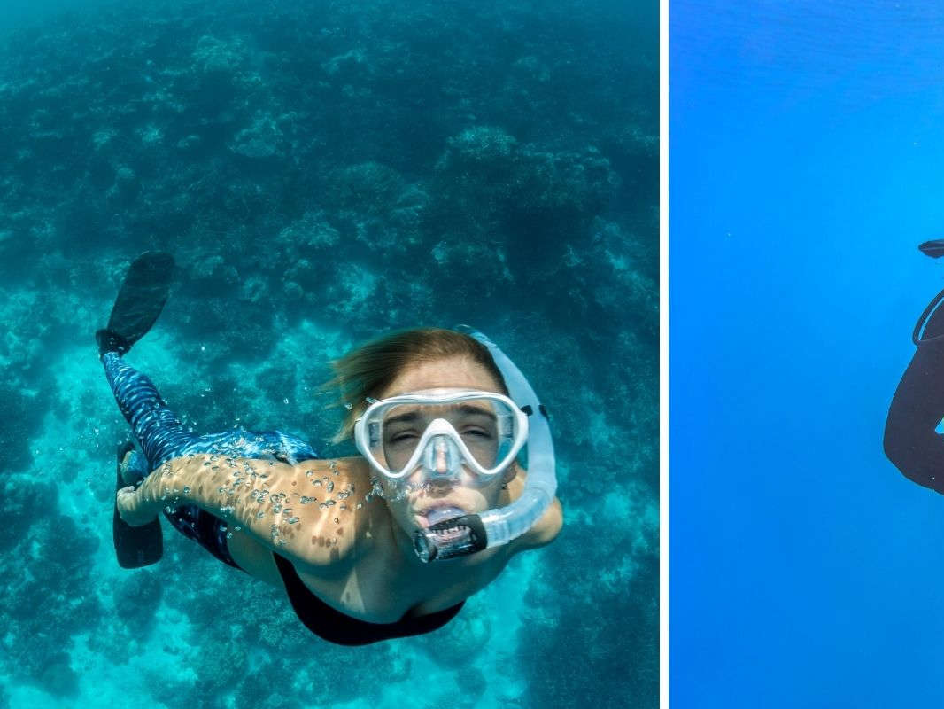 Beneath the Surface: Your Ultimate Guide to Scuba Diving in Gokarna