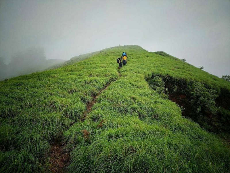 Kurinjal Trek – An Untouched Gem of the Western Ghats You Need to Explore