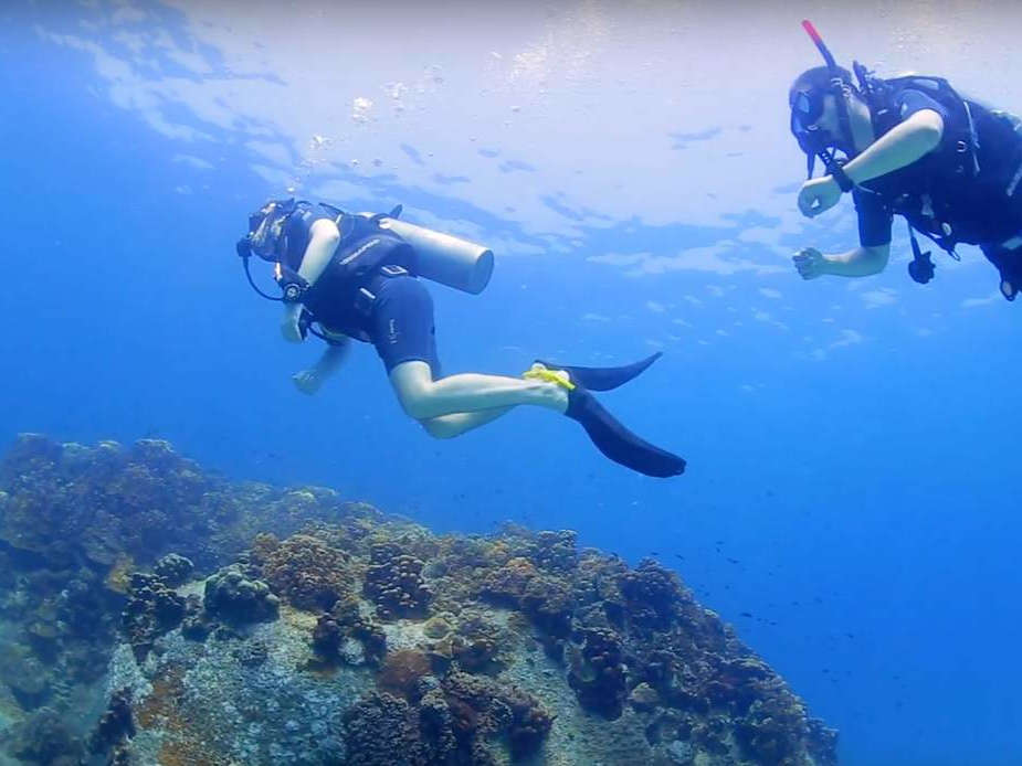 Beneath the Blue: Discover Scuba Diving Adventures in Gokarna
