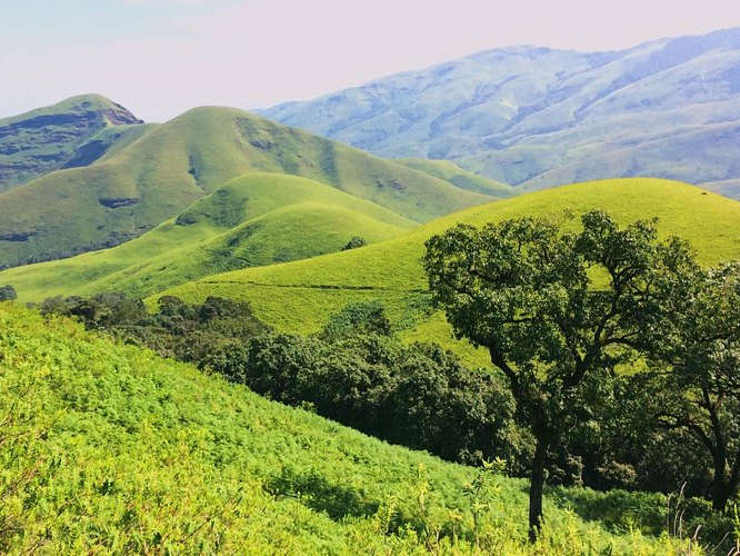 The Green Trail of Karnataka: Unveiling the Kudremukh Trekking Experience