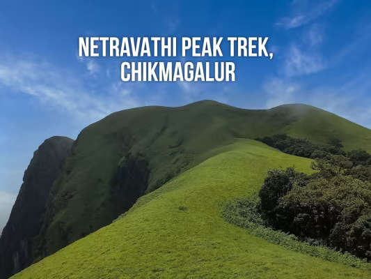 Netravati Trek – An Offbeat Adventure in the Heart of the Western Ghats