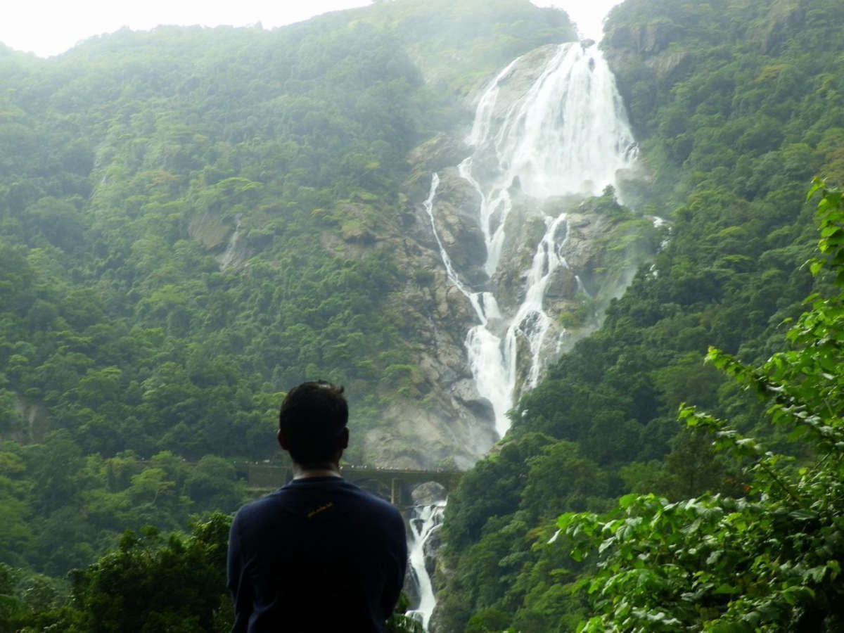 Trek to Dudhsagar: Adventure Awaits Beyond the Tracks