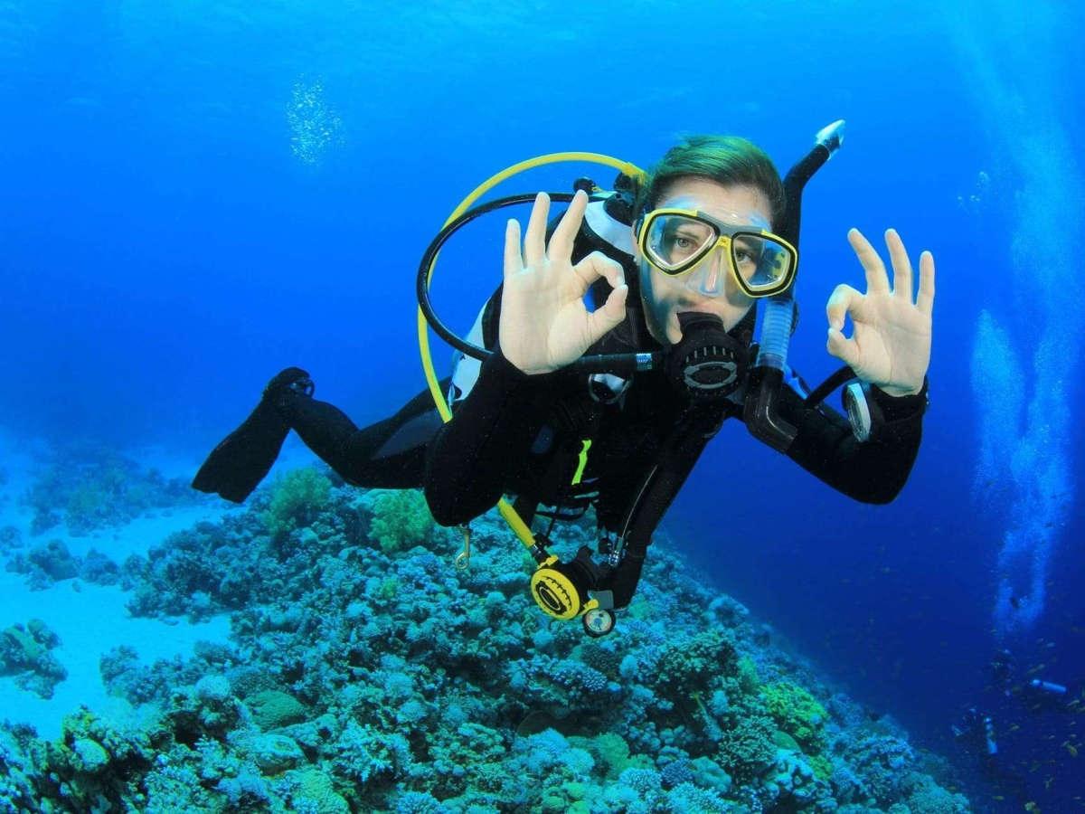Beneath the Waves: A Scuba Diving Adventure in Gokarna