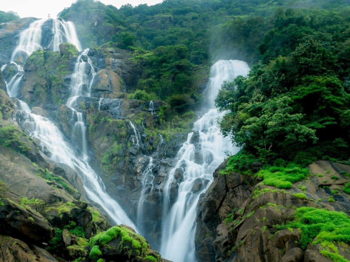 Dudhsagar Trekking Bliss: Nature, Thrill, and the Waterfall Wonder